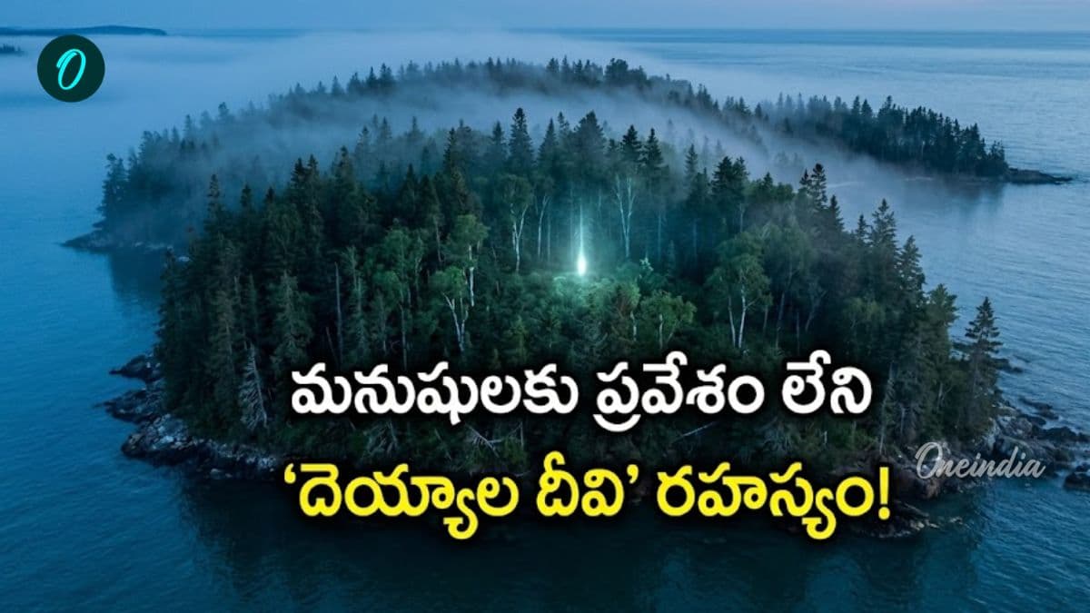 లో మొదలైన మిస్టరీ.. 'వాల్స్ట్రీట్ మంత్రగత్తె' తీరంలో దాగిన సీక్రెట్